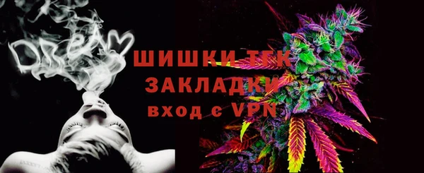 гидра Богданович