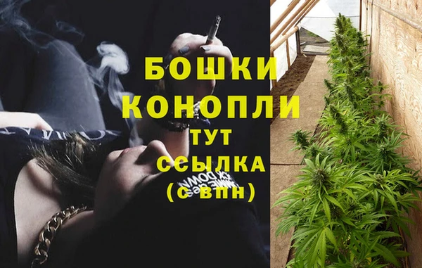гидра Богданович