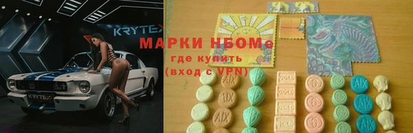 гидра Богданович