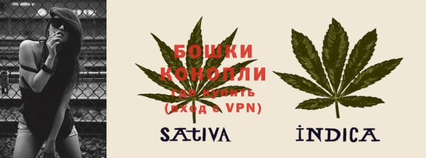 дурь Богородицк