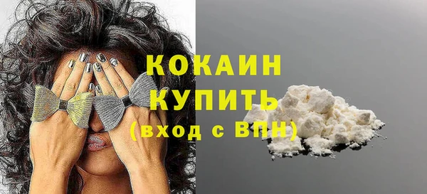гидра Богданович