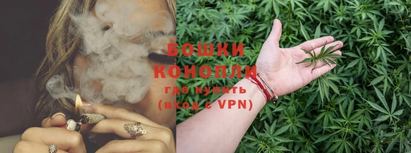 гидра Богданович