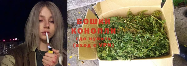 гидра Богданович