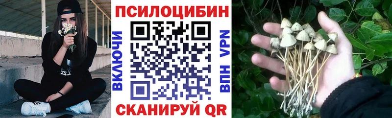 Псилоцибиновые грибы Cubensis  Гудермес 
