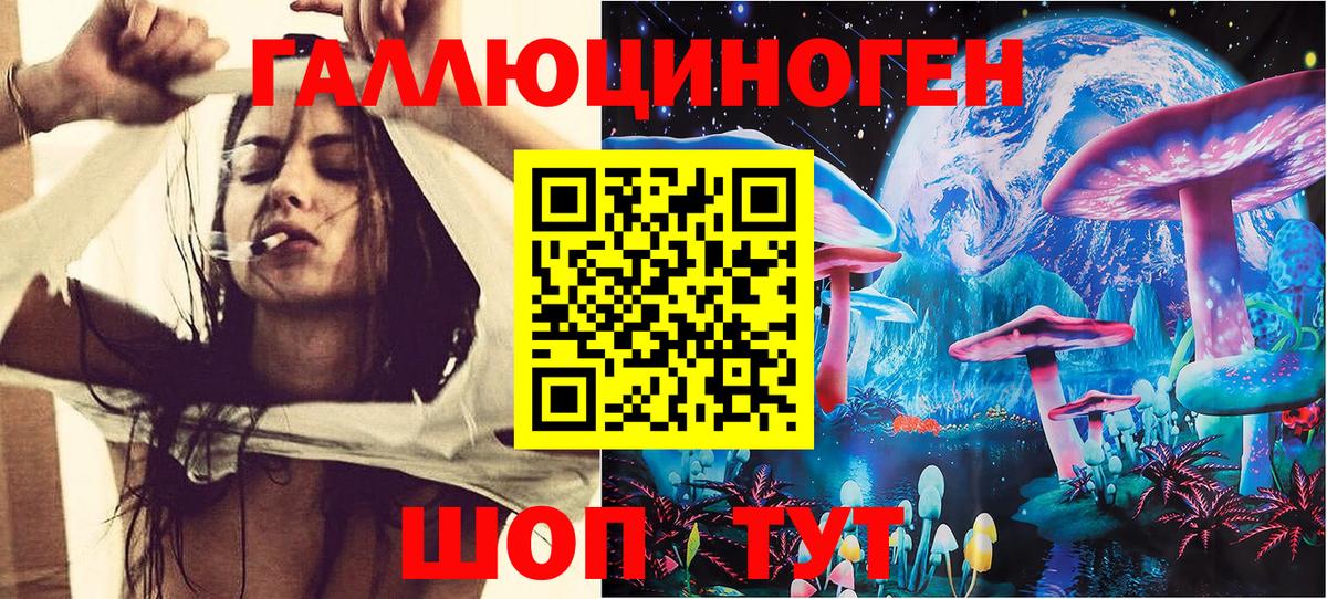 Псилоцибиновые грибы Cubensis Гудермес
