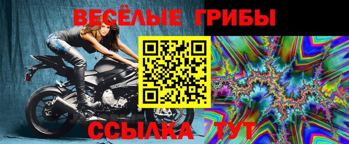 цена наркотик  Вход с VPN  Гудермес  Галлюциногенные грибы Cubensis  Псилоцибиновые грибы ЛСД 