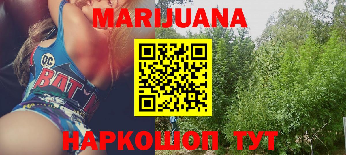 Канабис сатива  Каннабис планчик  Гудермес  Вход с VPN  Бошки Шишки тримм 